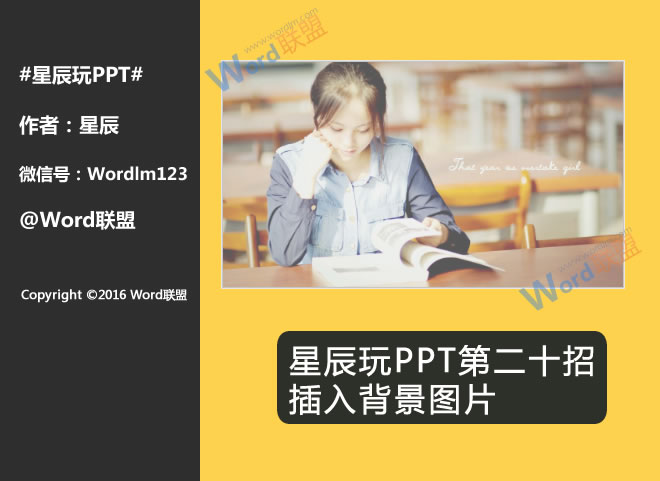 动漫女生福利图——欧美特级婬片毛多的少妇，揭示二次元世界的魅力与情感深度
