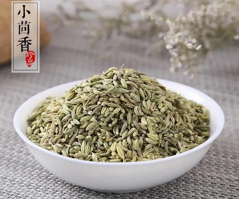 相机镜头角度精品卡1卡2卡三卡免费网站，揭示相机镜头角度的魔力