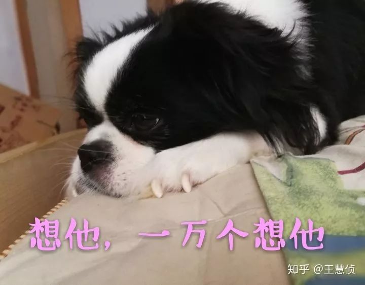 女人私密结构——，解码女性生理的秘密花园