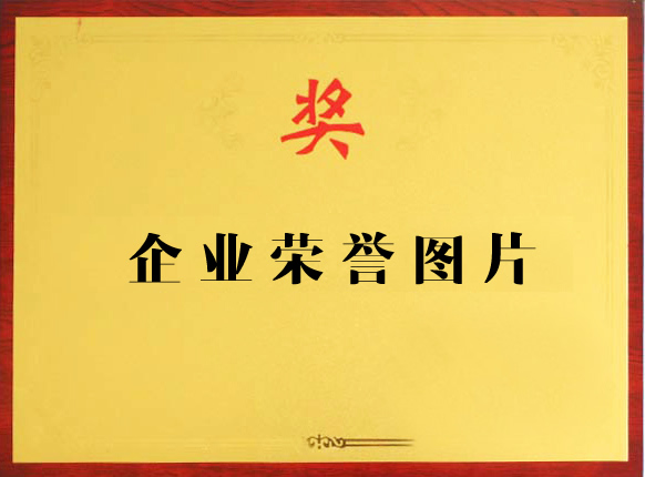 镜头40MM和50MM中文字幕av大片网站解构摄影艺术的微观世界