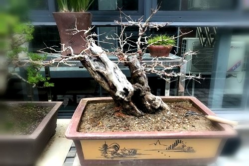 维C精华——精品卡1卡2卡三卡免费网站，肌肤的青春守护神，揭秘美白抗氧化的秘密武器