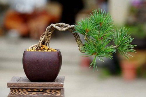 瑜伽动作及——，解锁身心和谐的秘密
